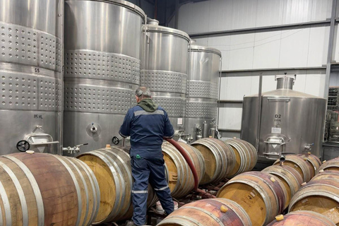 From Santiago: Casa Fevre Tour with Wine Tasting