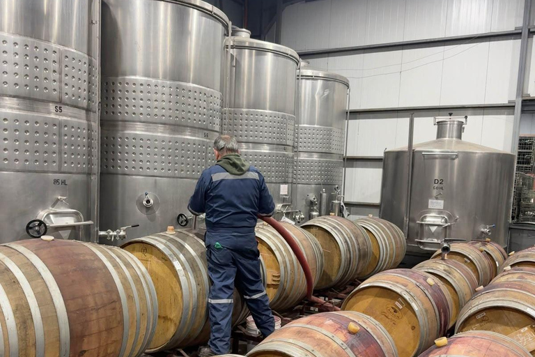 From Santiago: Casa Fevre Tour with Wine Tasting
