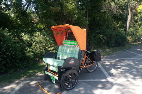 3 heures de visite de Vienne en RAXI (pousse-pousse électrique)