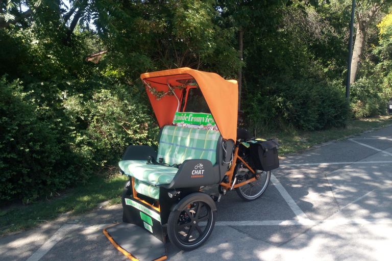 3 heures de visite de Vienne en RAXI (pousse-pousse électrique)