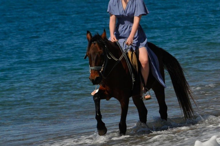 Manavgat/Side: Horse Riding on the Beach and in the Forest