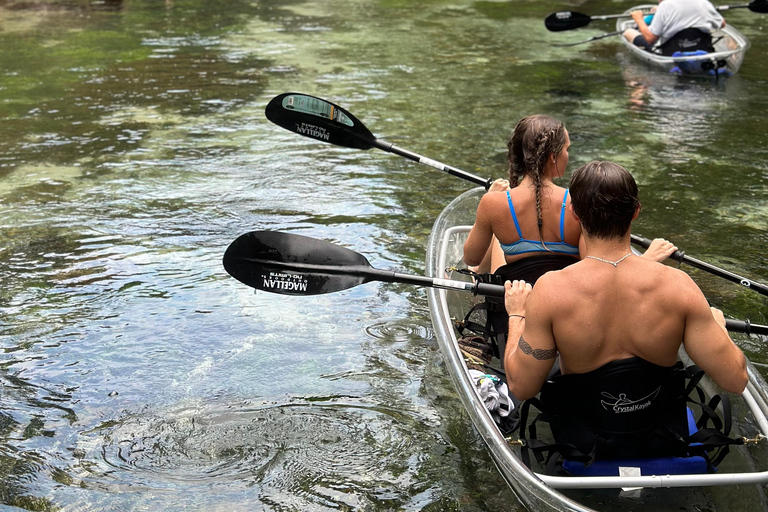 Gilchrist Blue: Clear Kayak Eco Tour