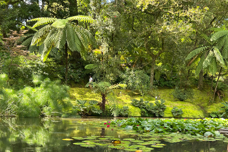 Incroyable vallée de Furnas, excursion d&#039;une journée.