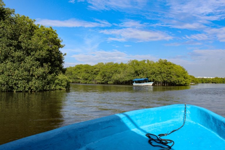 Von Veracruz aus: Natur & Meeresfrüchte Bootstour nach Madinga