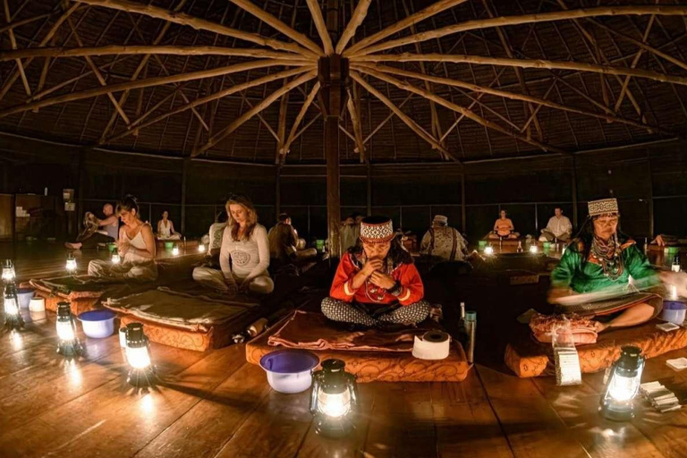 Tambopata : Expérience Ayahuasca en 2D | Hébergement et repas |