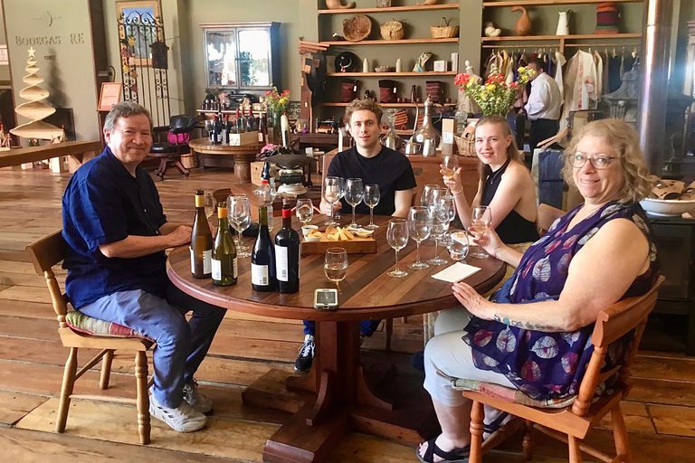 Casablanca Valley: 3 Wineries Tour with 11 Wine Tastings