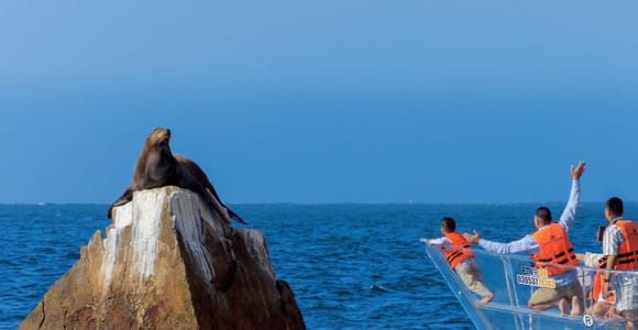Cabo San Lucas: Clear Boat Tour