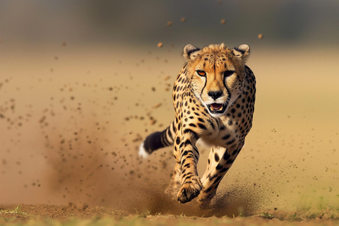 EEN DAG NAAR AMBOSELI NATIONAAL PARK