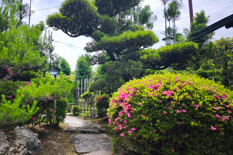 Kyoto: FUN Calligraphy Experience – Launch Special! Private Authentic Shodo Experience near Ninnaji Temple