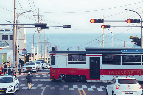 Busan : pour les passagers de croisière, visite en voiture privéeBusan : Visite en voiture privée pour les passagers de croisière