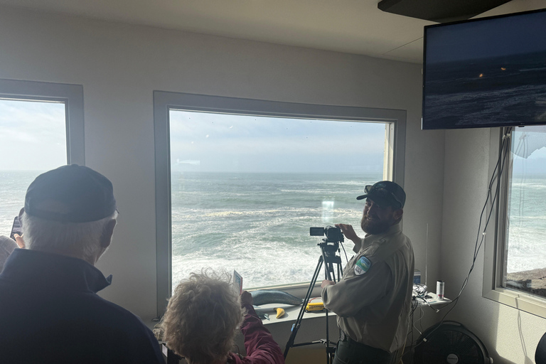 جولة مشاهدة حيتان إلى خليج ديبو وشاطئ كانون وتيلاموك