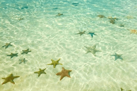 Zanzibar: Swim with Starfish and Snorkeling At Blue Lagoon