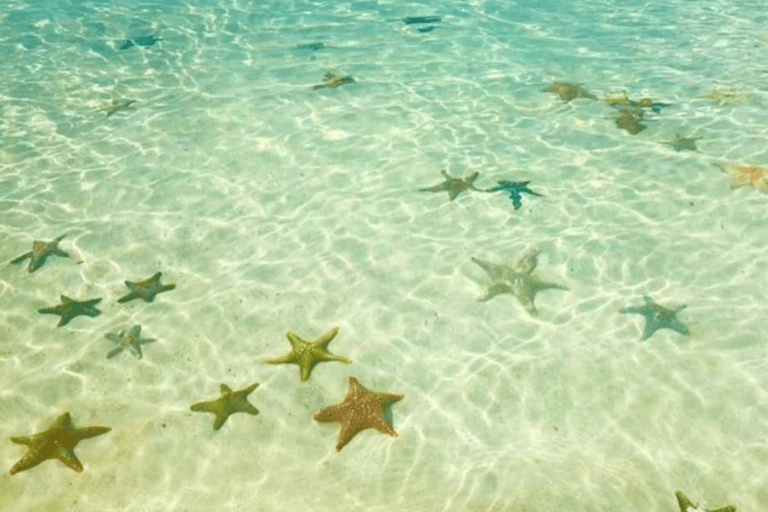 Zanzibar: Swim with Starfish and Snorkeling At Blue Lagoon