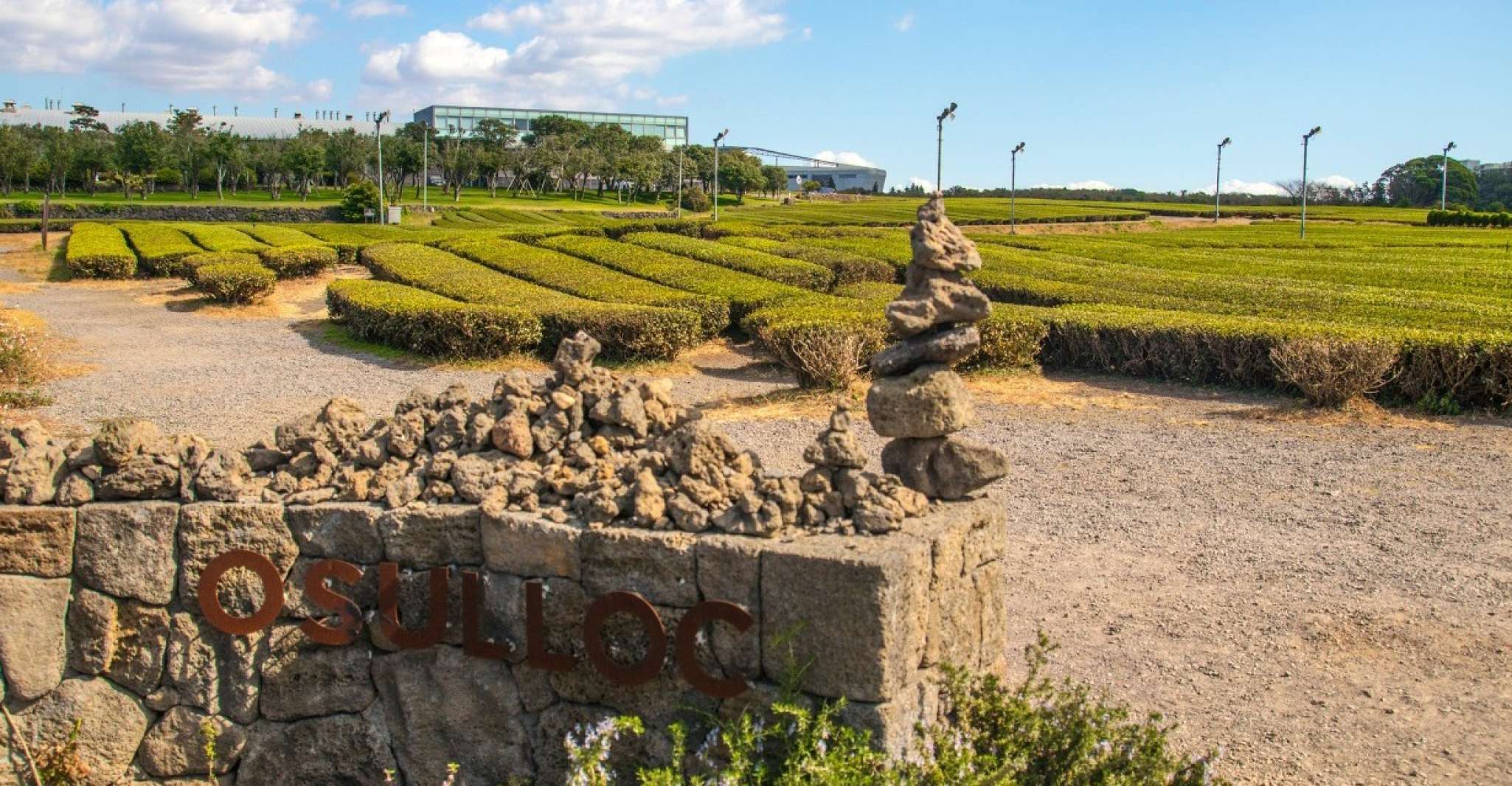 Jeju, Western and Southern Routes Sightseeing Day Tour - Housity