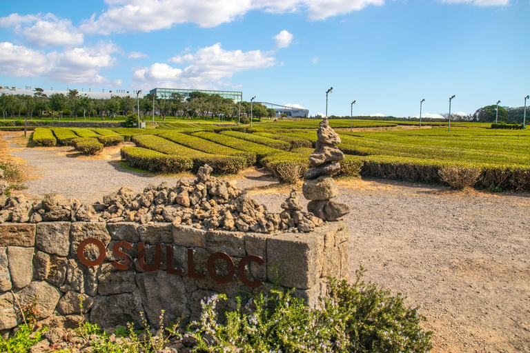 Jednodniowa wycieczka po Jeju Zachodniej i Południowej TrasachMiejsce spotkania: Shilla Duty Free