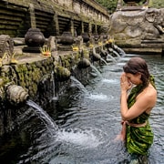 Tirta Empul Purification Ritual & Tegalalang Rice Terrace