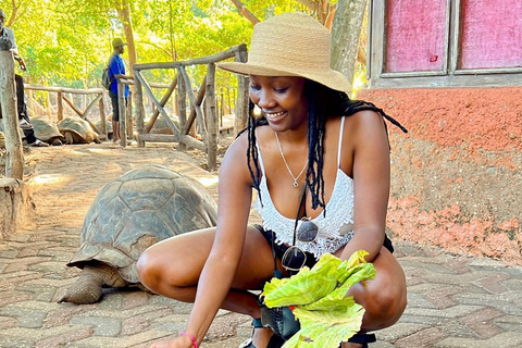 Ciudad de piedra y prisión Isla