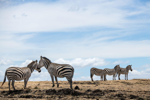 Ngorongoro krater; Safari vanuit Zanzibar inclusief vluchtenNgorongoro Krater; 2 Dagen Lodge Safari met vluchten