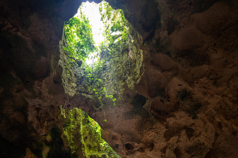 Zanzibar Secret Beach,Jozani and Ngonga Cave with transfer