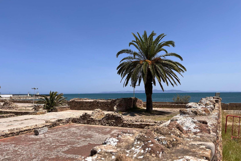 Tunis, Carthage & Bardo Museum: A Journey Through History From Mahdia