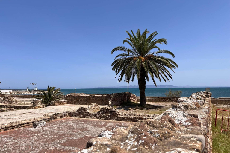 Tunis, Carthage & Bardo Museum: A Journey Through History From Mahdia