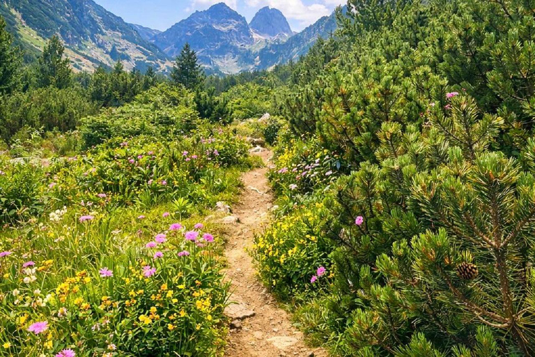 From Sofia: Rila Mountain - Easy Hike & Optional Local Lunch From Sofia: Rila Mountain - Shared Group Option
