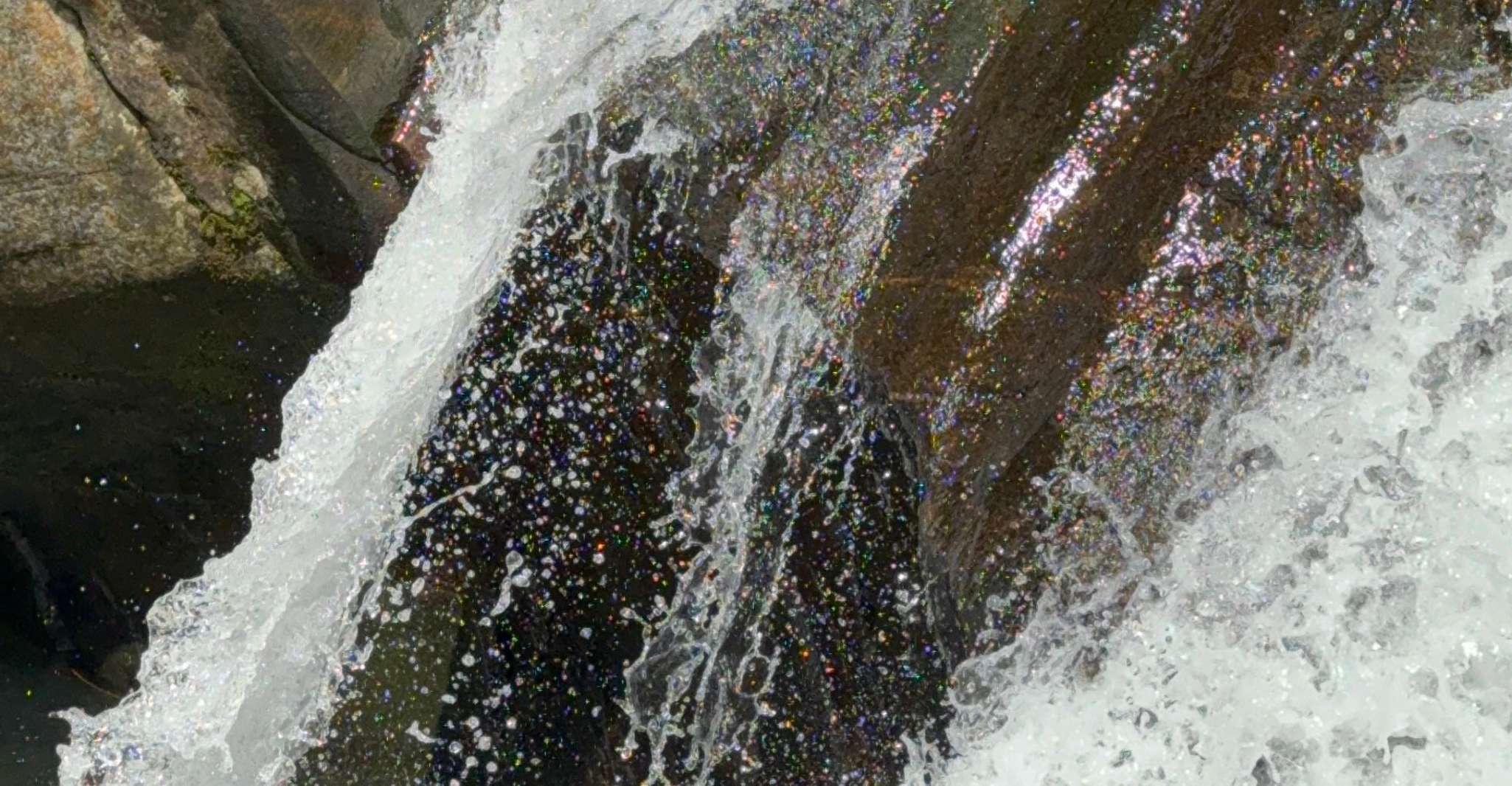 El Yunque Forest Water Slides and Ropeswing Tour