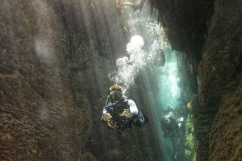 Cancun: 2 Dives: Cenotes The Pit + Nicte HA