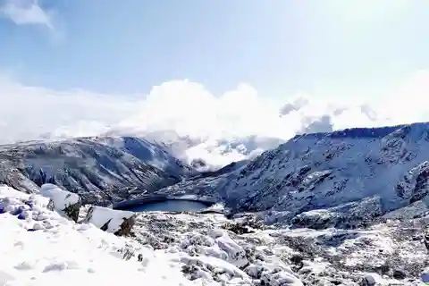 From Covilhã: Serra da Estrela Guided Tour with Lunch