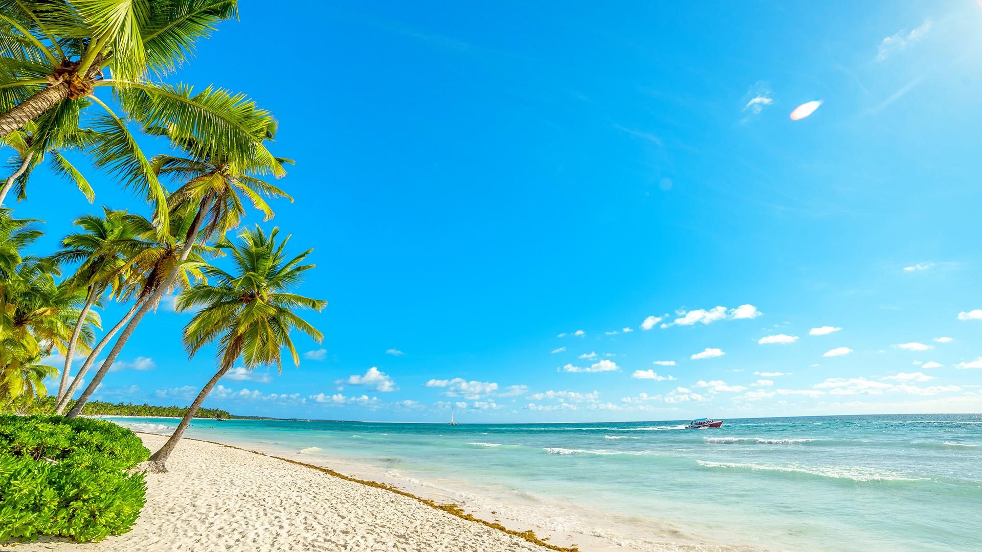 Samana: Cayo Levantado mit inkludiertem Transport