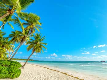 Samana: Cayo Levantado mit inkludiertem Transport