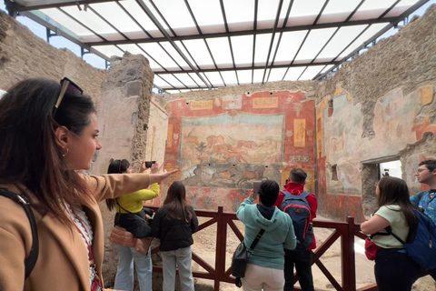 From Naples: Pompei and Naples Tour with tickets included Private tour with driver only - Pompeii tickets included