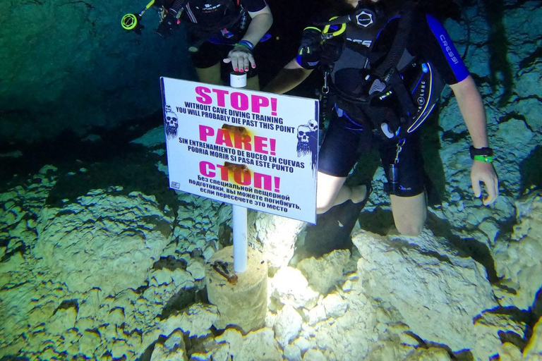 PUNTA CANA: BUCEO EN CAVERNAS O CENOTES