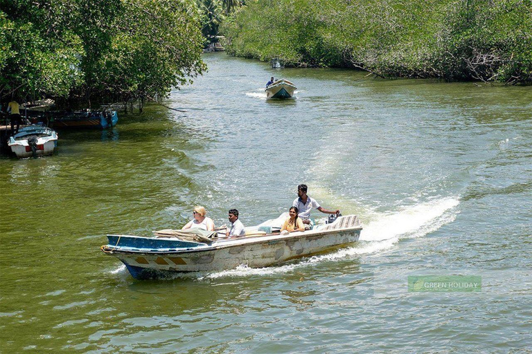 Bentota City Tour with Boat Safari & Kande Viharaya