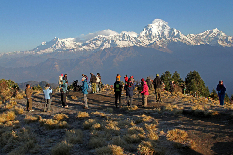 Pokhara : 7 jours de trek au camp de base de l&#039;Annapurna avec source d&#039;eau chaude