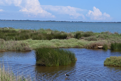 Montpellier: Petite Camargue - Camin de Fe Guided Ride by E-Bike Montpellier: Petite Camargue - Camin de Fe Guided E-Bike Tour