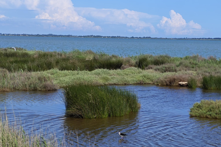 Montpellier: Petite Camargue - Camin de Fe Guided Ride by E-Bike Montpellier: Petite Camargue - Camin de Fe Guided E-Bike Tour