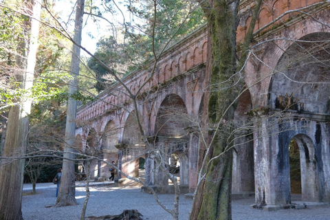 E-Bike Tour in Kyoto with Asuka, Japanese graduate student