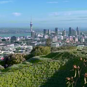 Auckland CITY HIGHLIGHTS Tour with Hotel Pickup