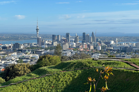 AUCKLAND: Half-Day CITY HIGHLIGHTS TOUR with Hotel Pickup