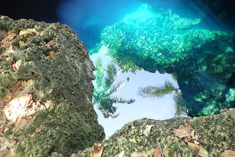 Tour delle cascate di Bohol con pranzo