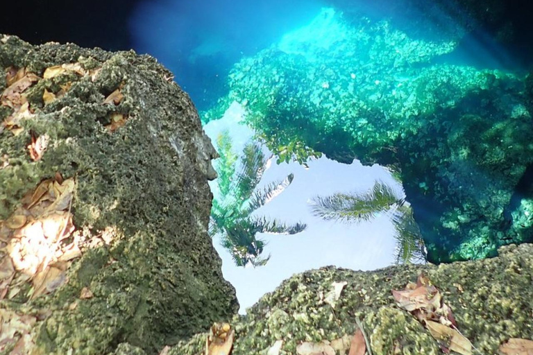 Tour delle cascate di Bohol con pranzo