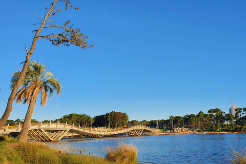 City Tour em Punta del Este: Uma aventura inesquecível de caça ao tesouro!