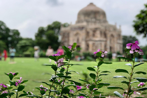 Delhi: Visita guiada privada de medio día por la ciudadRecorrido con entrada