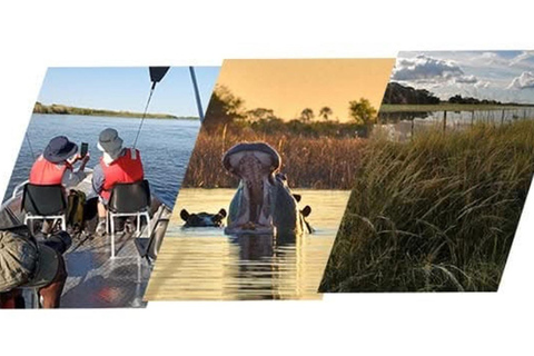 Shakawe: safari de 3 días por el este del OkavangoShakawe: Safari de 3 días por el este del Okavango