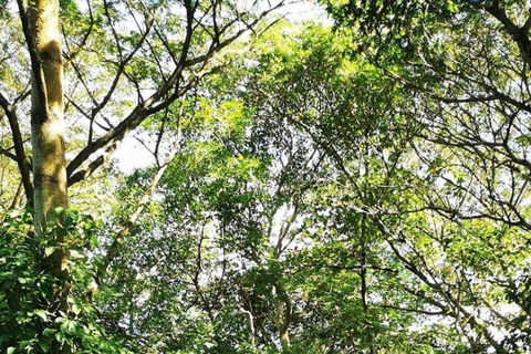 Cascate di damajaguaCascate di Damajagua