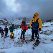 Lofoten : visite d'une demi-journée en raquettes à neige
