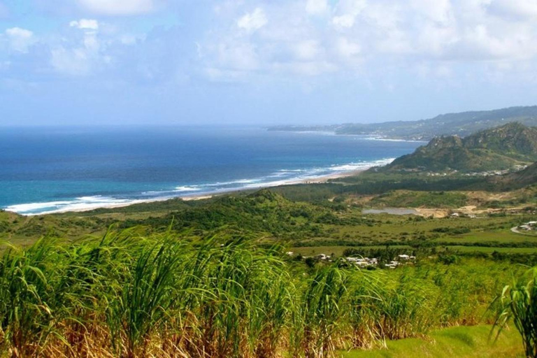 Barbados: Scenisk halvdagsutflykt från kust till kust