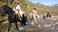 Mendoza- Private Driver With modern Car- Make your Own tour. - Housity