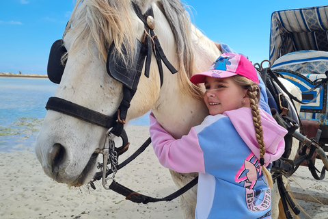 Djerba: Sunset Carriage Ride to Flamingo Island Djerba: Sunset Carriage Ride to Pink Flamingo Island